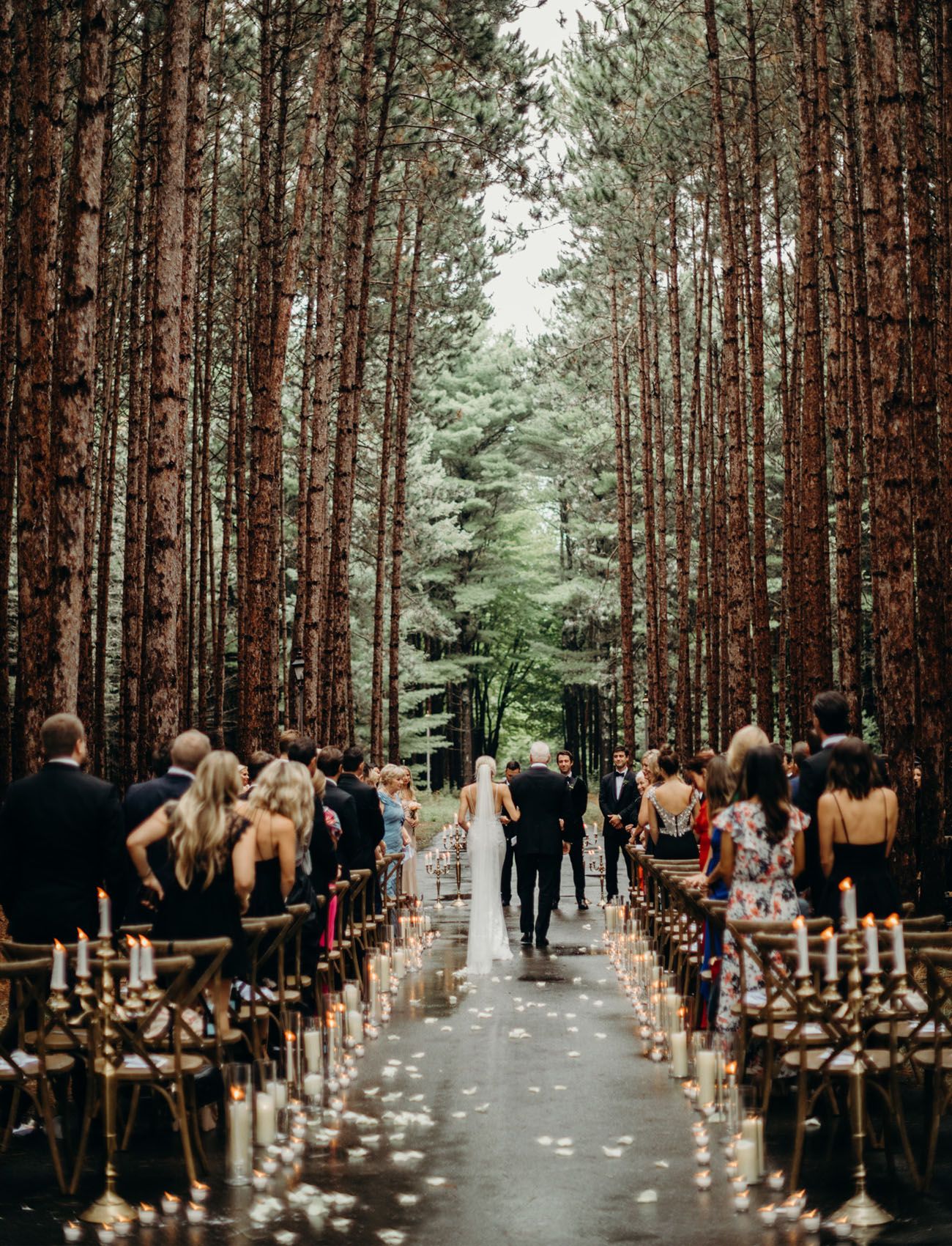 These Two Got Married on a Private Tree-Lined Road in the Middle ...