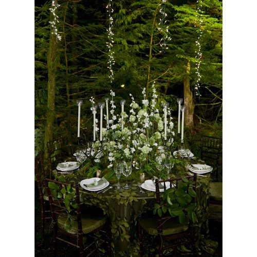 Amazon.com | Twilight Saga Breaking Dawn Part 1 Wedding Reception ...